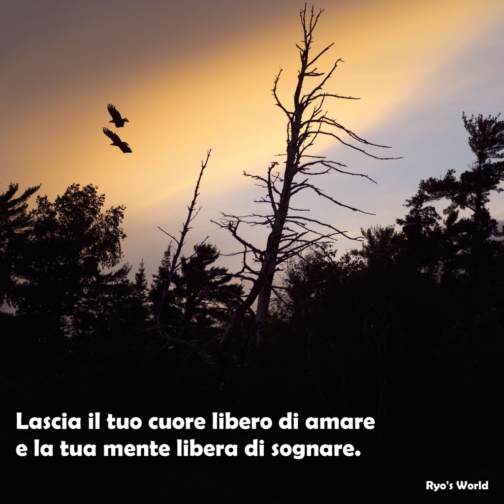 libero di amare e sognare